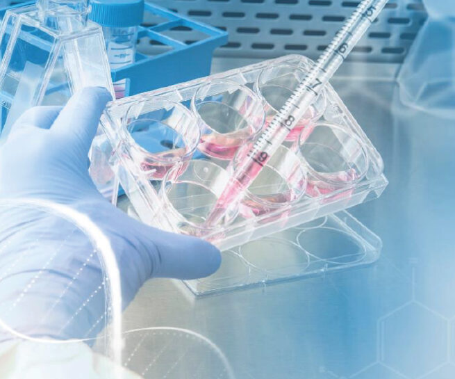 tahriş ve cilt duyarlılık testi