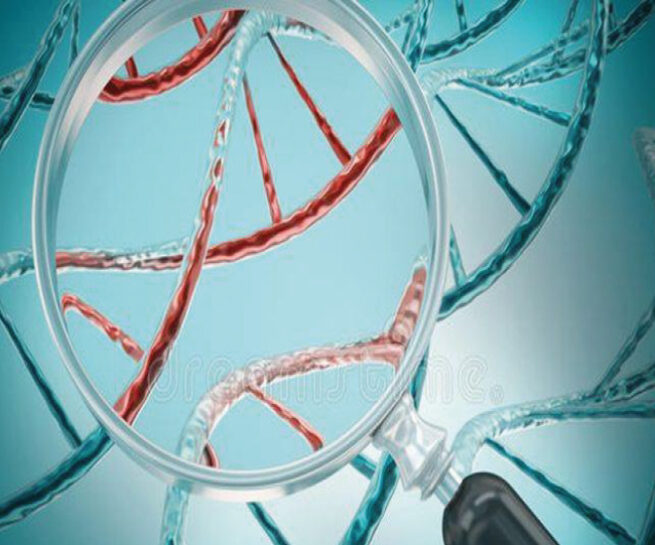 kromozom anormallikleri testi